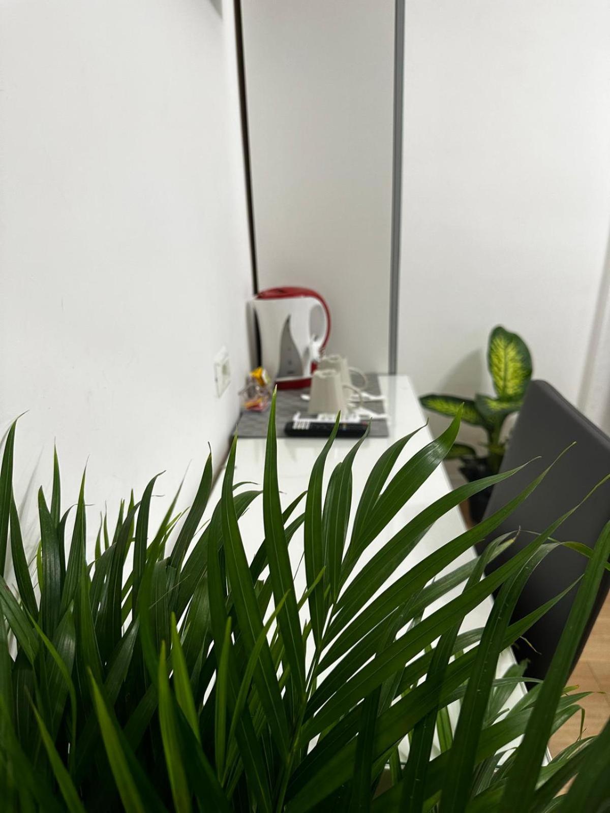 Rome Holiday Guesthouse Gasthof